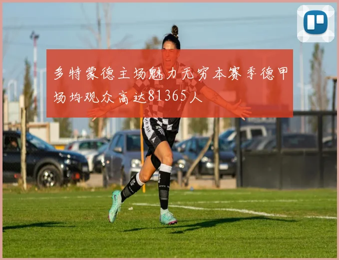 多特蒙德主场魅力无穷本赛季德甲场均观众高达81365人