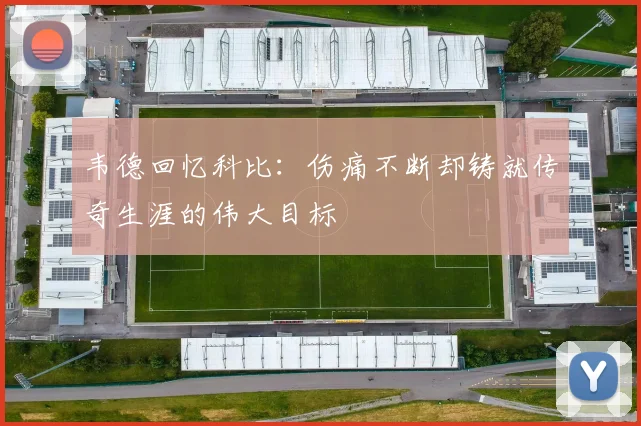 韦德回忆科比：伤痛不断却铸就传奇生涯的伟大目标